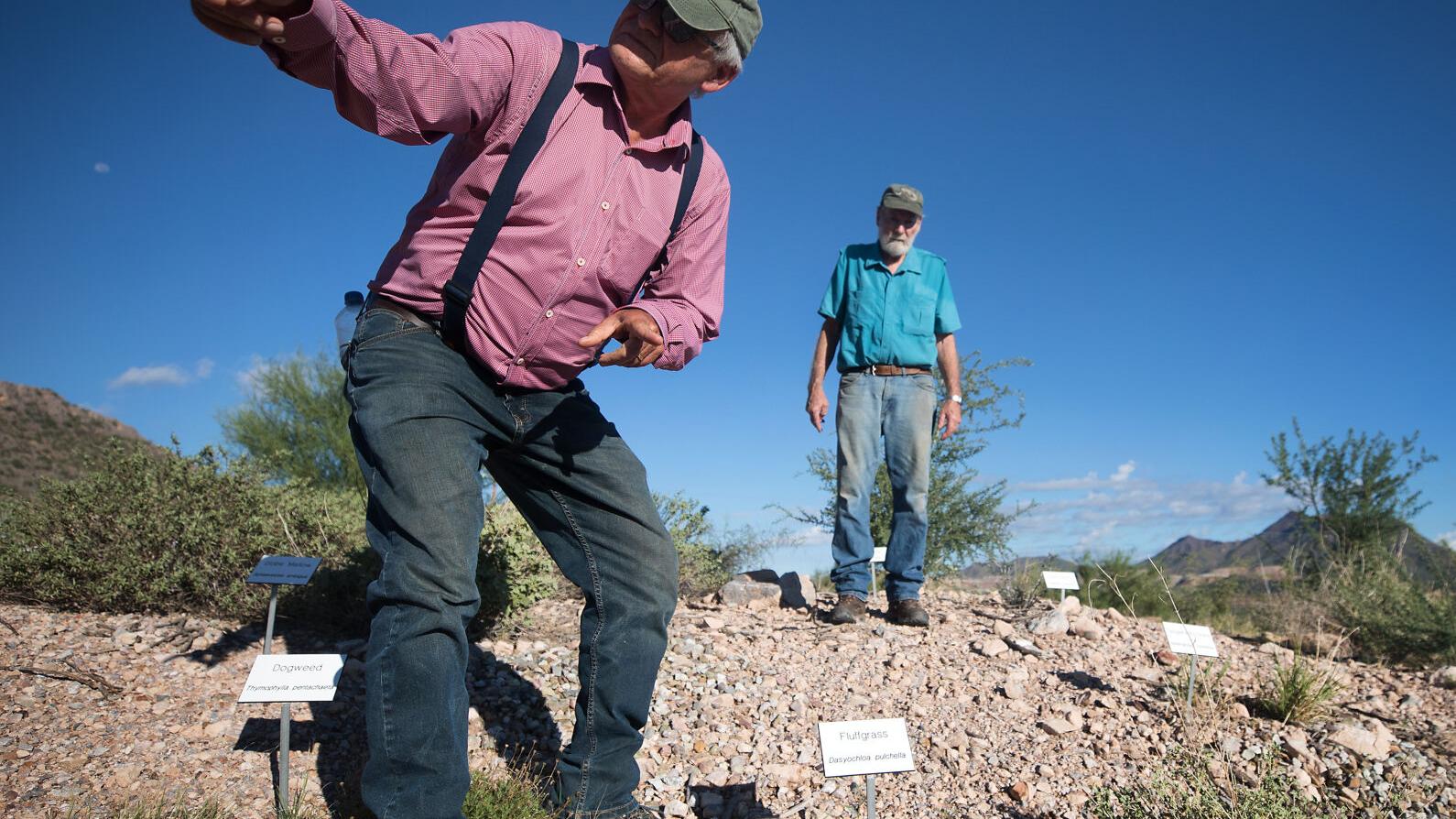 Buffelgrass battleground northwest of Tucson wins national recognition